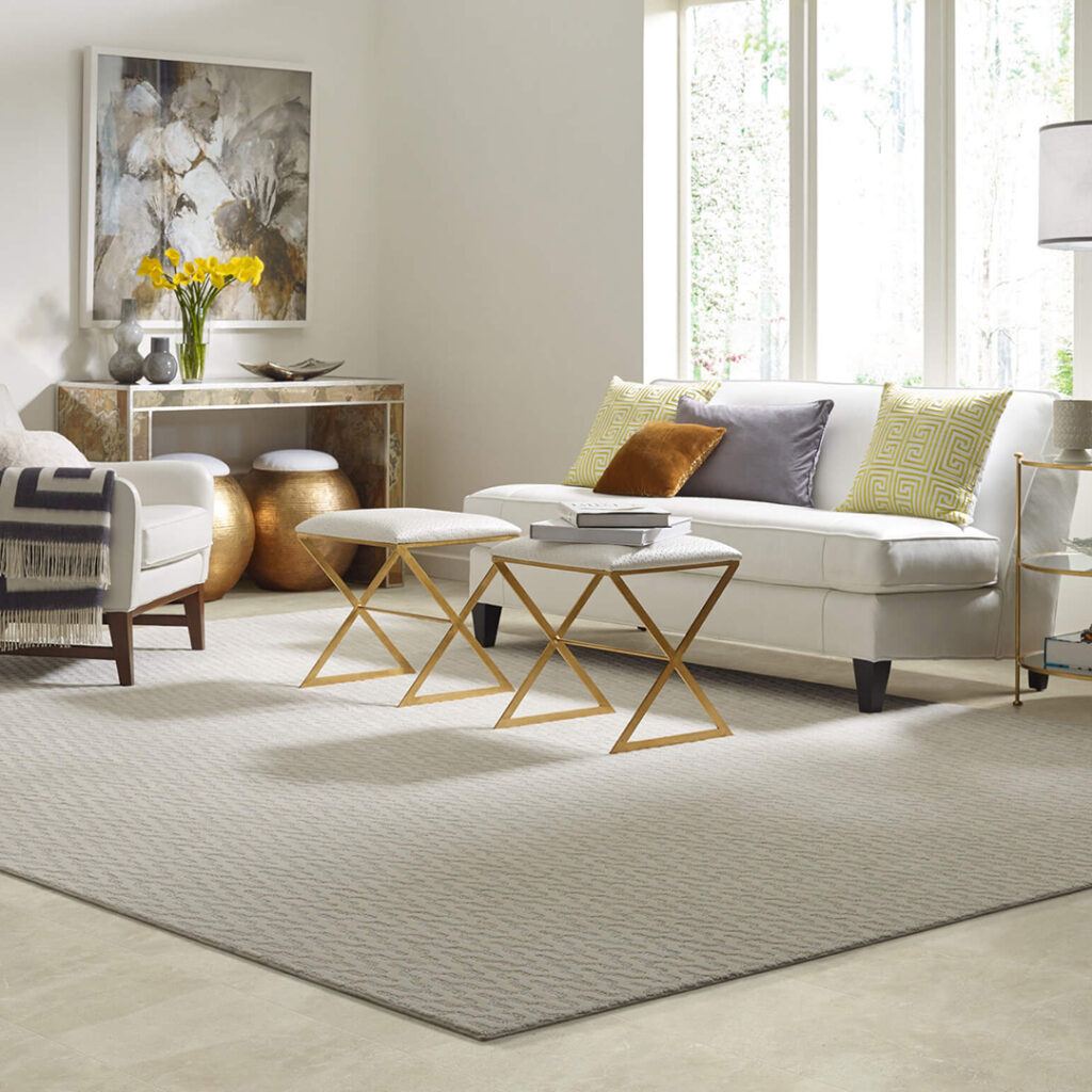 Area Rug | Price Flooring