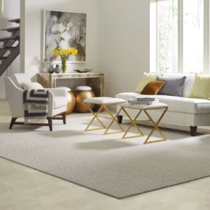Living Room Area Rug | Price Flooring
