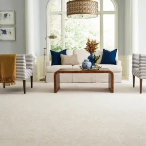 Carpet in living room | Price Flooring