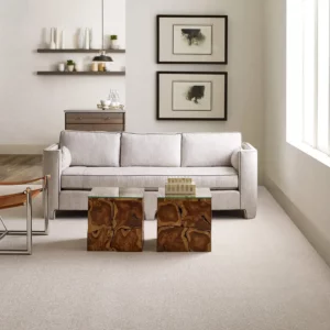 living room Carpet | Price Flooring