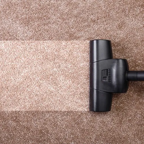 imgi_7_carpet_cleaning7_500x500